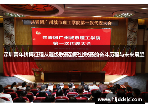 深圳青年拼搏征程从超级联赛到职业联赛的奋斗历程与未来展望