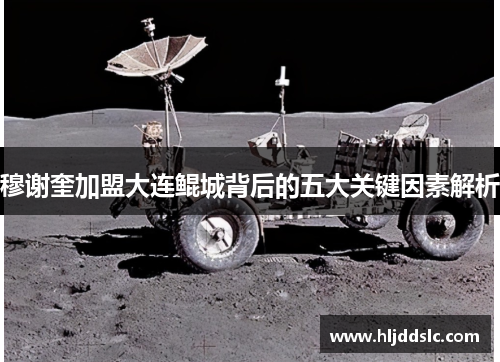 穆谢奎加盟大连鲲城背后的五大关键因素解析