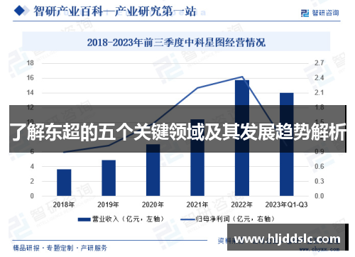 了解东超的五个关键领域及其发展趋势解析
