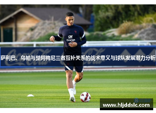 萨利巴、乌帕与楚阿梅尼三者互补关系的战术意义与球队发展潜力分析