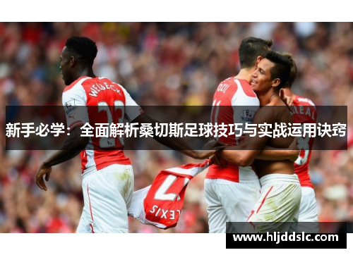 新手必学：全面解析桑切斯足球技巧与实战运用诀窍